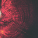 Daily growth lines in the dentine in an embryonic tooth of Hypacrosaurus. Image: G. M. Erickson